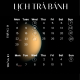 To The Moon